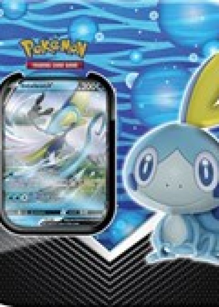 Galar Partners Tin [Inteleon V]