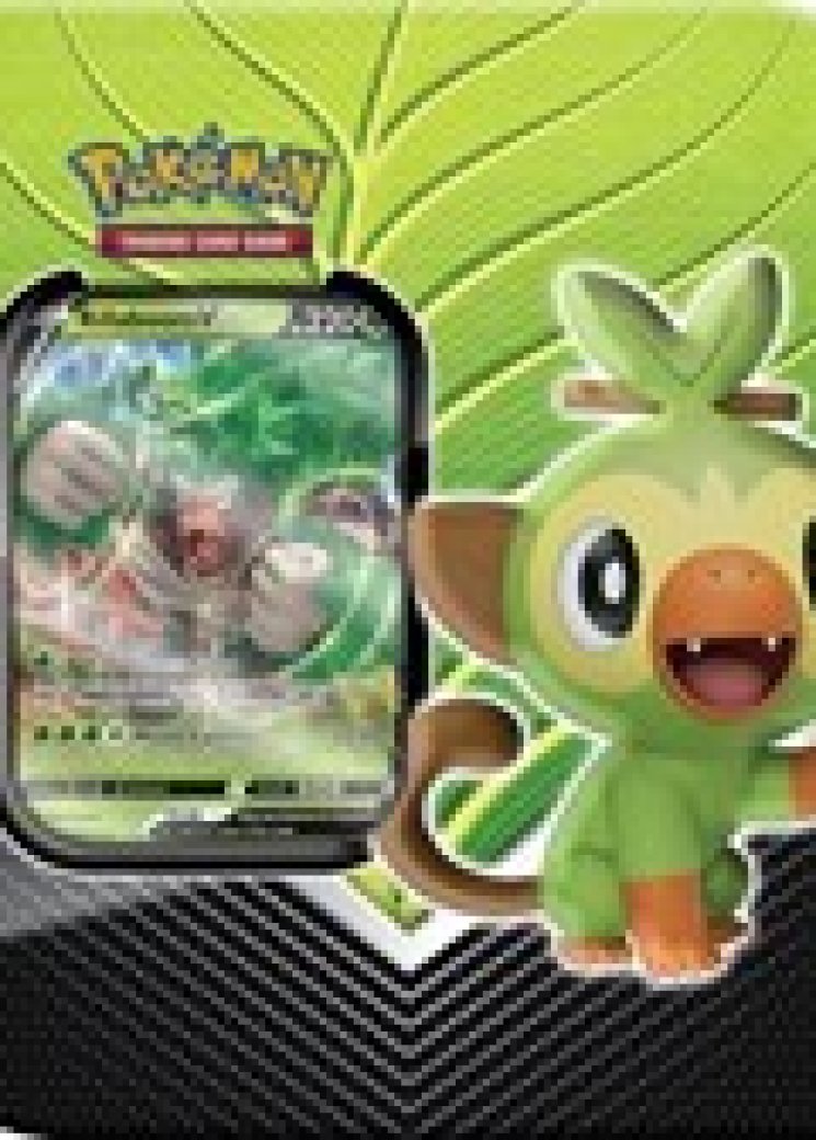 Galar Partners Tin [Rillaboom V]