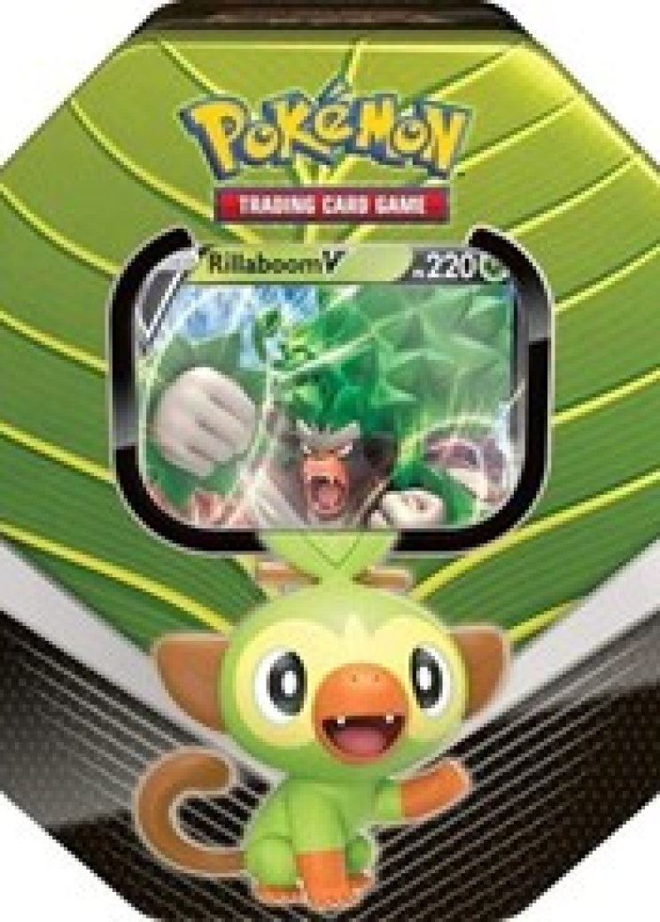 Galar Partners International Tin [Rillaboom V]